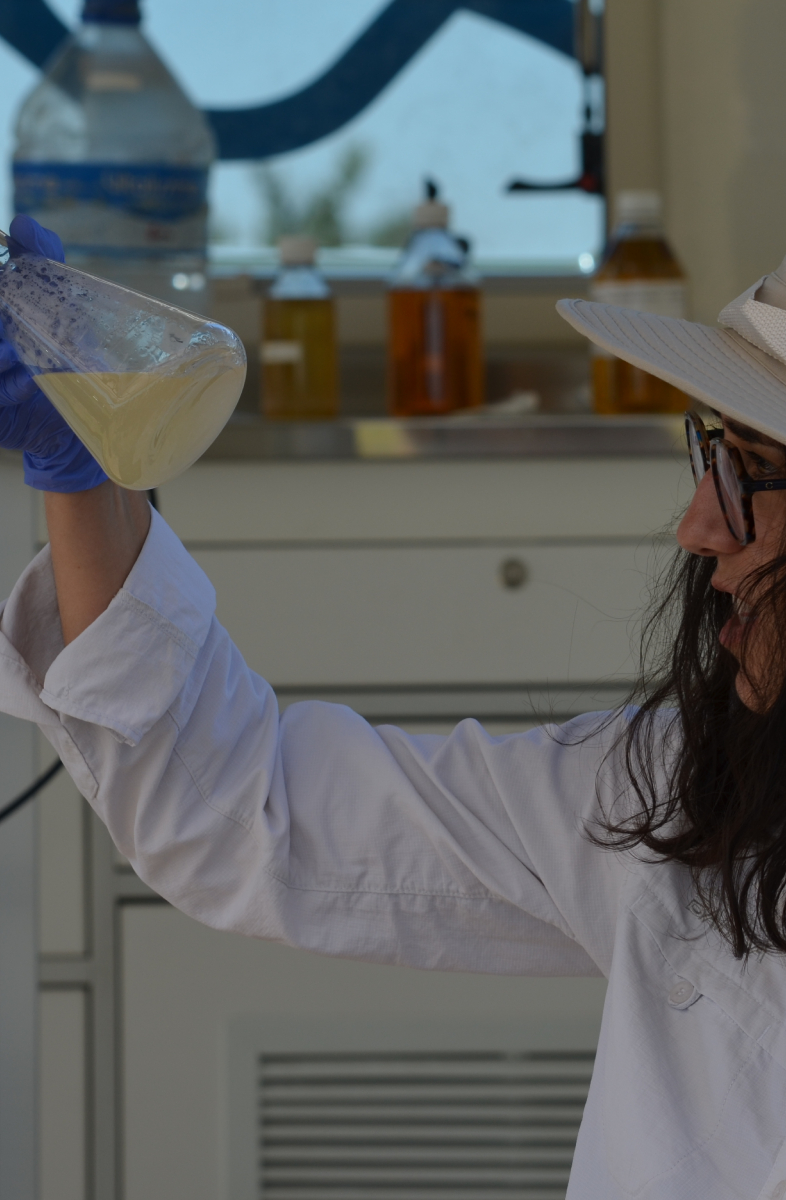 Laboratorios Bahnsa